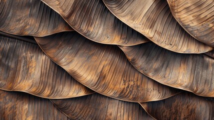 Dry brown banana leaf with organic texture in close up view
