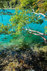 Calm lake reflection with green foliage. The tranquil transparent waters of lake in the background. Nature. Landscape Reflection off of a clear lake water. Summer natural landscape with a lake.