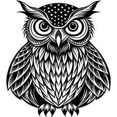 A black and white owl with a pointed beak and a pair of large eyes