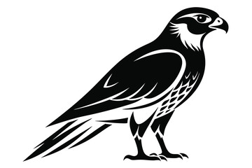Falcon vector illustration white background D.eps