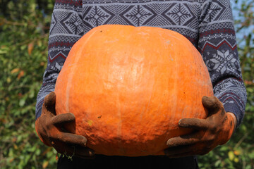 - A person holding a large orange pumpkin with both hands, highlighting its size and rich color against the natural outdoor backdrop
