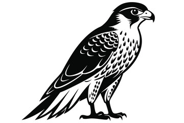 Falcon vector illustration white background G.eps