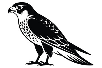Falcon vector illustration white background H.eps