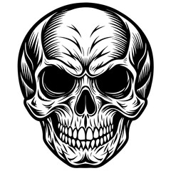 A skull with a menacing look on its face. The skull is drawn in black and white. The skull is the main focus of the image