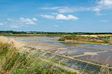 marais salants , île de Noirmoutier, 85, Vendée, France