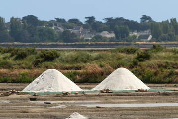 marais salants , île de Noirmoutier, 85, Vendée, France