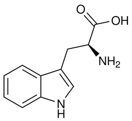 Tryptophan Aminosäure Chemie Strukturformel Vektor