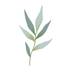 Vector green summer and spring branches and leaves.Simple element for botany emblem design.Organic logo template.Hand drawn floral illustration for prints,flyers,banners,invitations,branding design