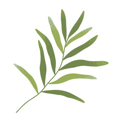 Vector green summer and spring branches and leaves.Simple element for botany emblem design.Organic logo template.Hand drawn floral illustration for prints,flyers,banners,invitations,branding design