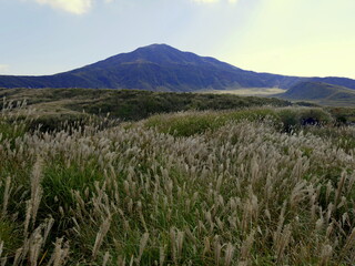 Kusasenri seen from kishima with silver pampa grass in october in Aso, kyushu, japan. natural...