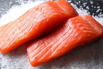 Pieces of fresh salmon on salt, closeup