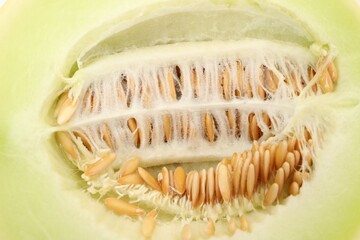 Cut fresh ripe honeydew melon as background, closeup