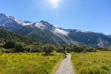 Lake Pukaki Lake Tekapo Vibrant Lupin Fields, Hooker Valley Track, Southern Alps, Mt Cook Mountains...