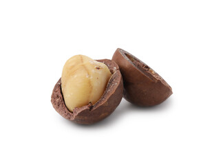 Macadamia nut with shell isolated on white