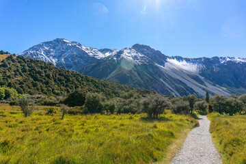 Lake Pukaki Lake Tekapo Vibrant Lupin Fields, Hooker Valley Track, Southern Alps, Mt Cook Mountains – Glacial Rivers, Snow-Capped Peaks, Scenic Trails, Landscape New Zealand Canterbury Queenstown