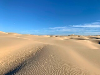 sand dunes in beach