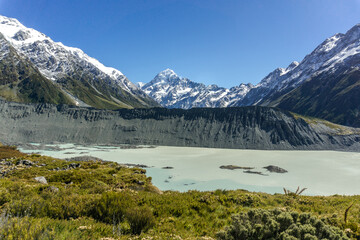 Lake Pukaki & Lake Tekapo Views with Lupin Fields, Hooker Valley Track, Southern Alps, Mt Cook...