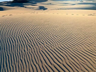 Obraz premium sand dunes on the beach
