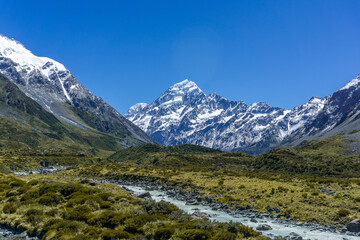 Obraz premium Lake Pukaki & Lake Tekapo Views with Lupin Fields, Hooker Valley Track, Southern Alps, Mt Cook Mountains Glacial Rivers, Snow-Capped Peaks, Scenic Trails, Landscape New Zealand’s Canterbury Queenstown