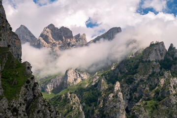 Picos de Europa 6