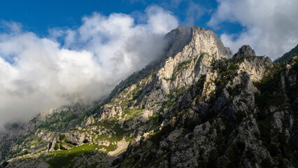 Picos de europa