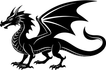 black and white dragon
