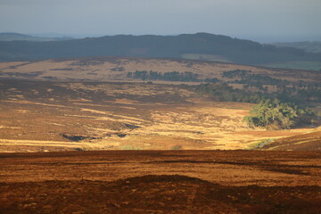 Wicklow Mountains in Ireland