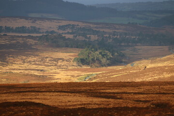 Wicklow Mountains in Ireland