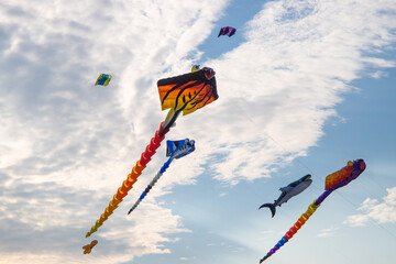 kite flying in the sky