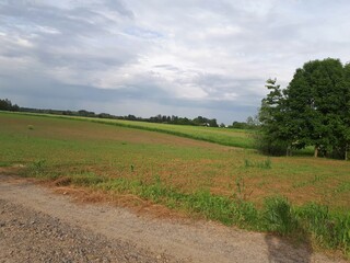 Scenic view of an expansive green field under a cloudy sky, showcasing rural tranquility and...