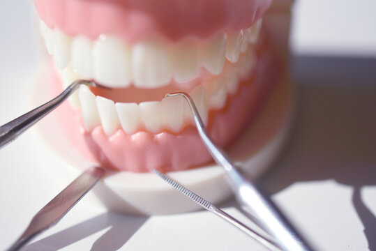 Dentier