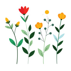 Fototapeta premium floral illustrations featuring different flowers and foliage on a white background 
