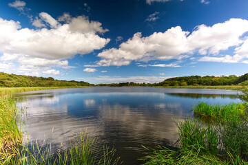 Fototapeta premium Ormesby broad