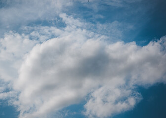 Sky Bright