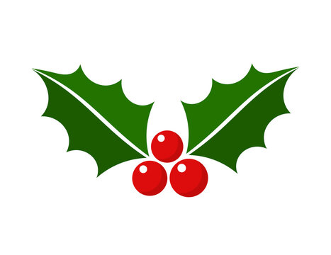 Christmas holly berries icon. PNG illustration.