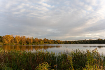 Tranquil lake during sunset on a fall day. Beautiful landscape in the countryside. Concept of peaceful nature, seasonal beauty, and tranquil outdoor scenery. High quality photo