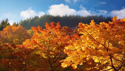 秋の色彩: 黄金の季節に宿る魔法と静けさ