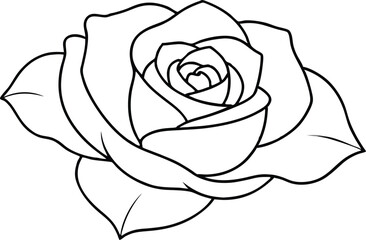 Rose in Bloom Nature Vector Art for Kids Coloring Pages
