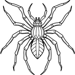Vector Design Spindly Legged Spider with Simple Body Outline