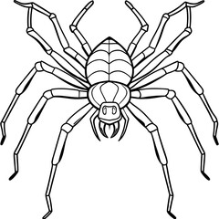 Obraz premium Vector Design Spindly Legged Spider with Simple Body Outline