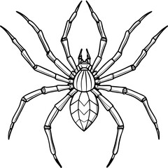 Vector Design Spindly Legged Spider with Simple Body Outline