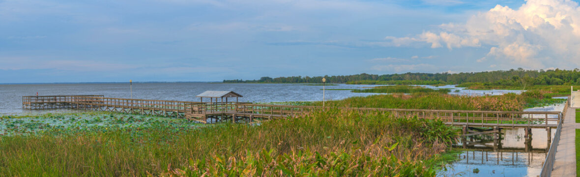 Panoramic view of Lake Apopka and nature Florida.