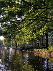 autumn in the park with reflection