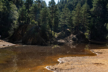 Serene forest landscape with a tranquil pond reflecting towering trees and rugged cliffs under a...