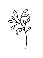 Illustrated leaf twig element graphic, transparent black botanical floral branch