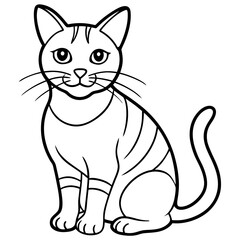 cat cartoon