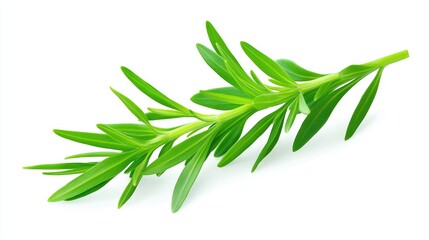 Obraz premium A white background with a green clip-path of leaves at the top