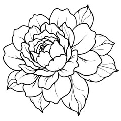 hand drawn flower