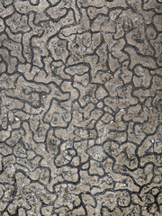 Surface texture of a stone or marble with details