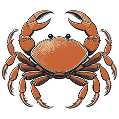 Detailed Illustration of a Crab with Claws Raised